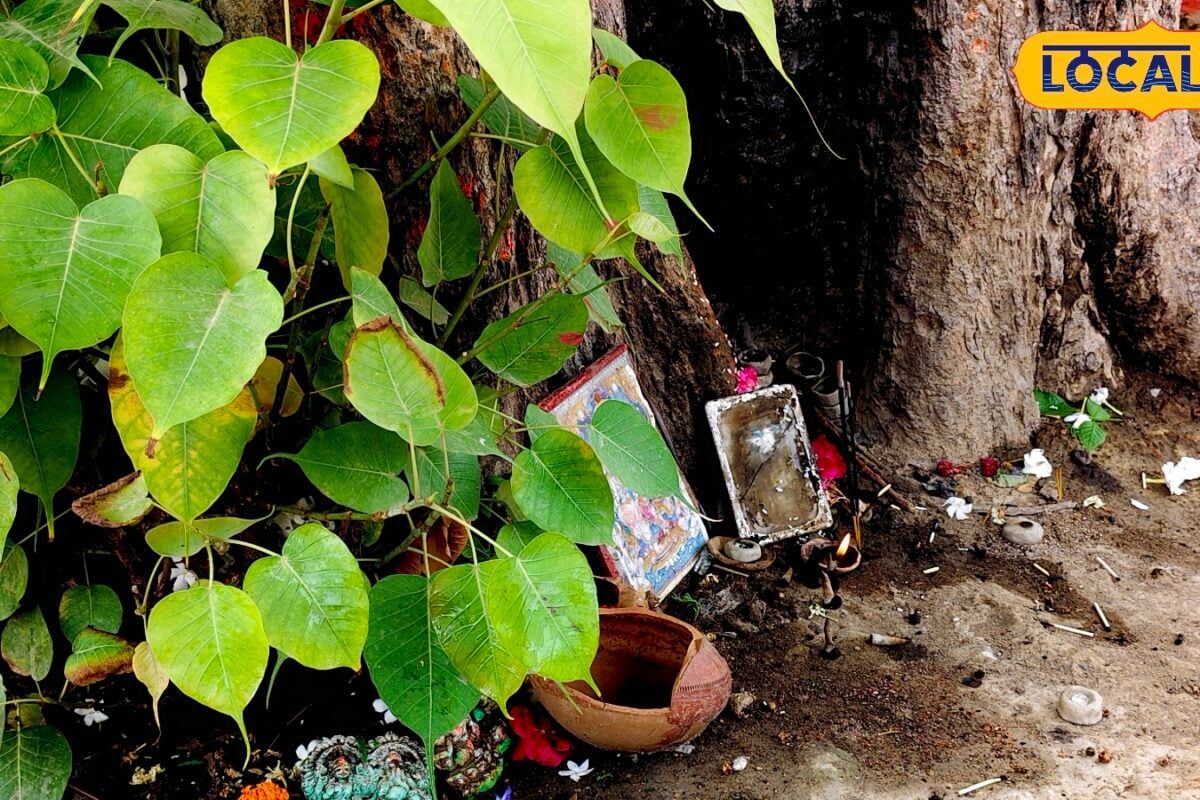 सुल्तानपुर का भवानी माता मंदिर जहां घंटी चढ़ाने से पूरी होती है मनोकामना