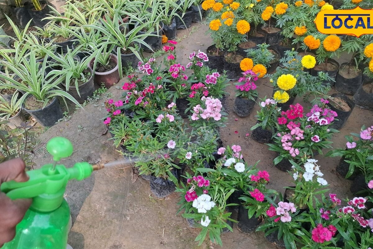Gardening Tips: बरसात आने से पहले अपने गार्डन को कर लें सुरक्षित वरना मुरझा जाएंगे पौधे