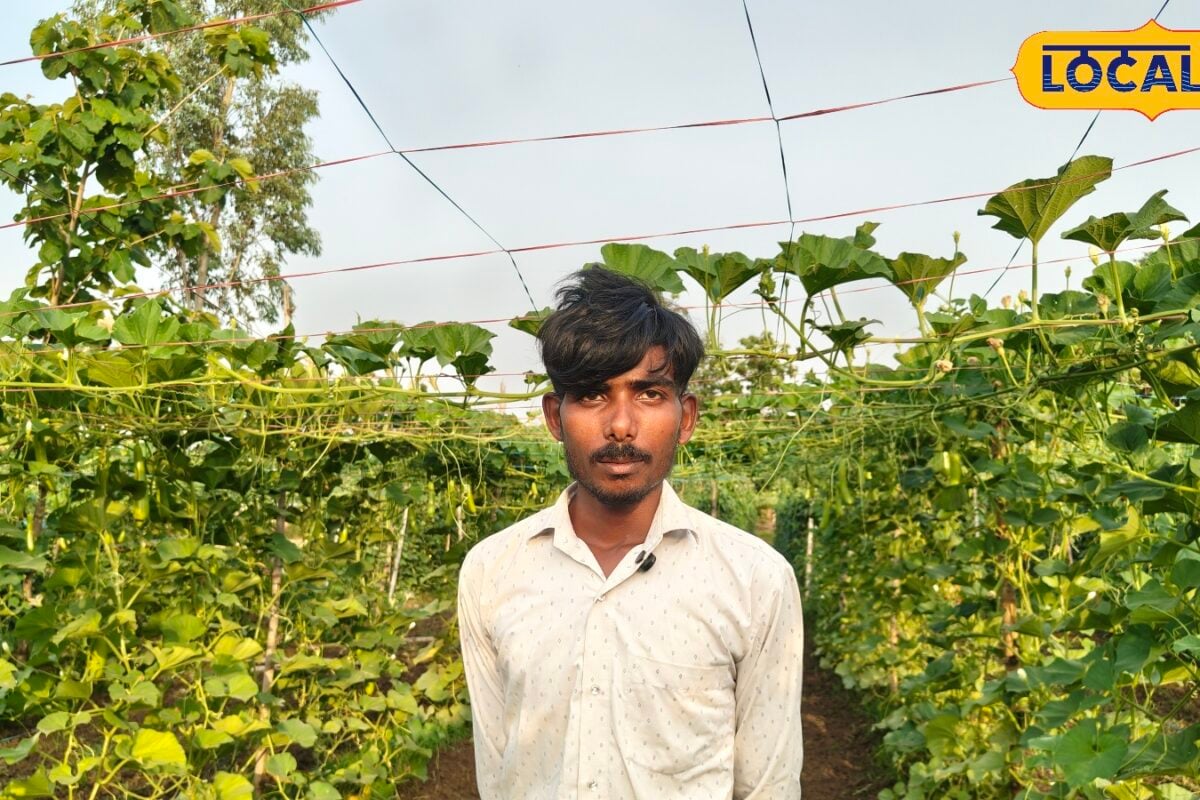 गोंडा के राम सिंह की मचान विधि से लौकी की खेती कम लागत में ज्यादा पैदावार लाखों की सालाना कमाई से युवाओं के लिए नई प्रेरणा