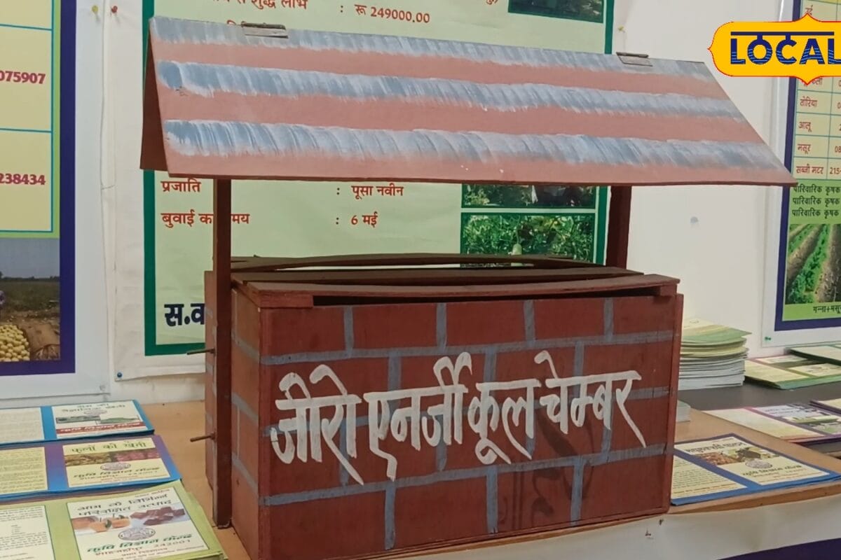 न बिजली का खर्च, न महंगे कोल्ड स्टोरेज का झंझट, ईंट और बालू से किसान खुद बनाएं 'कूल चैंबर'