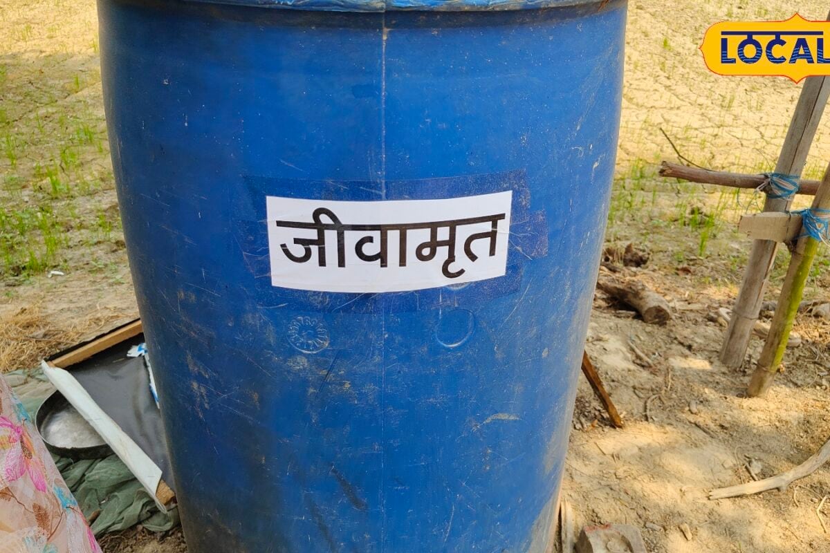 जीवामृत बनाने का आसान तरीका 7 दिन में तैयार होगा प्राकृतिक खाद घटेगी खेती की लागत