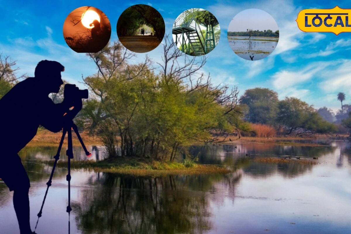 इंस्टाग्राम रील्स और फोटोग्राफी के लिए बेस्ट डेस्टिनेशन! राजस्थान का यह पार्क बना पर्यटकों की पहली पसंद