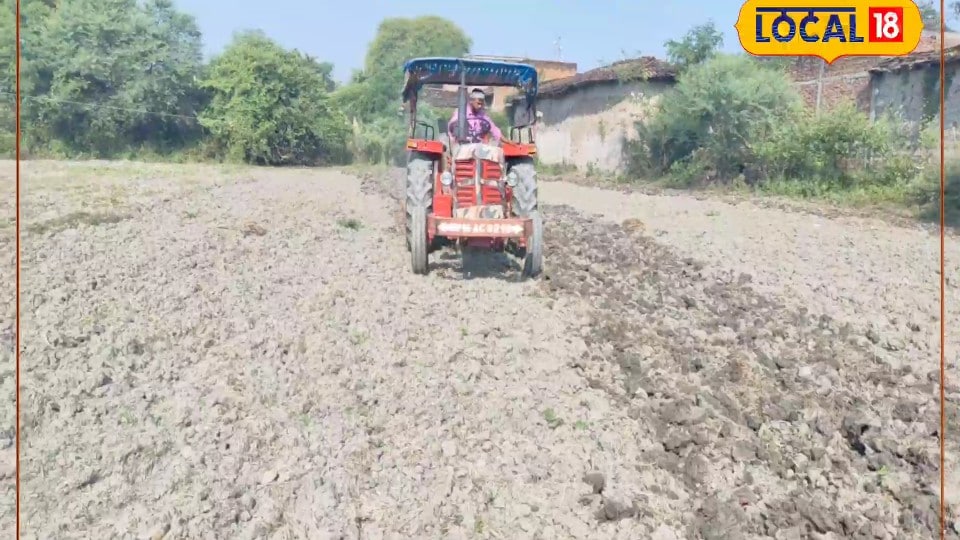 खरीफ फसल की बोवनी से पहले किसान भाई गांठ बांध लें ये बातें नहीं तो हो सकता भारी नुकसान एक्सपर्ट ने बताए जरूरी टिप्स