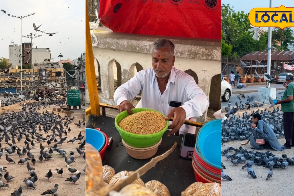 9 साल से रोज भरते हैं सैकड़ों कबूतरों का पेट! पंडित त्रिलोकीनाथ की सेवा देखकर लोग कह रहे- यही है सच्ची इंसानियत