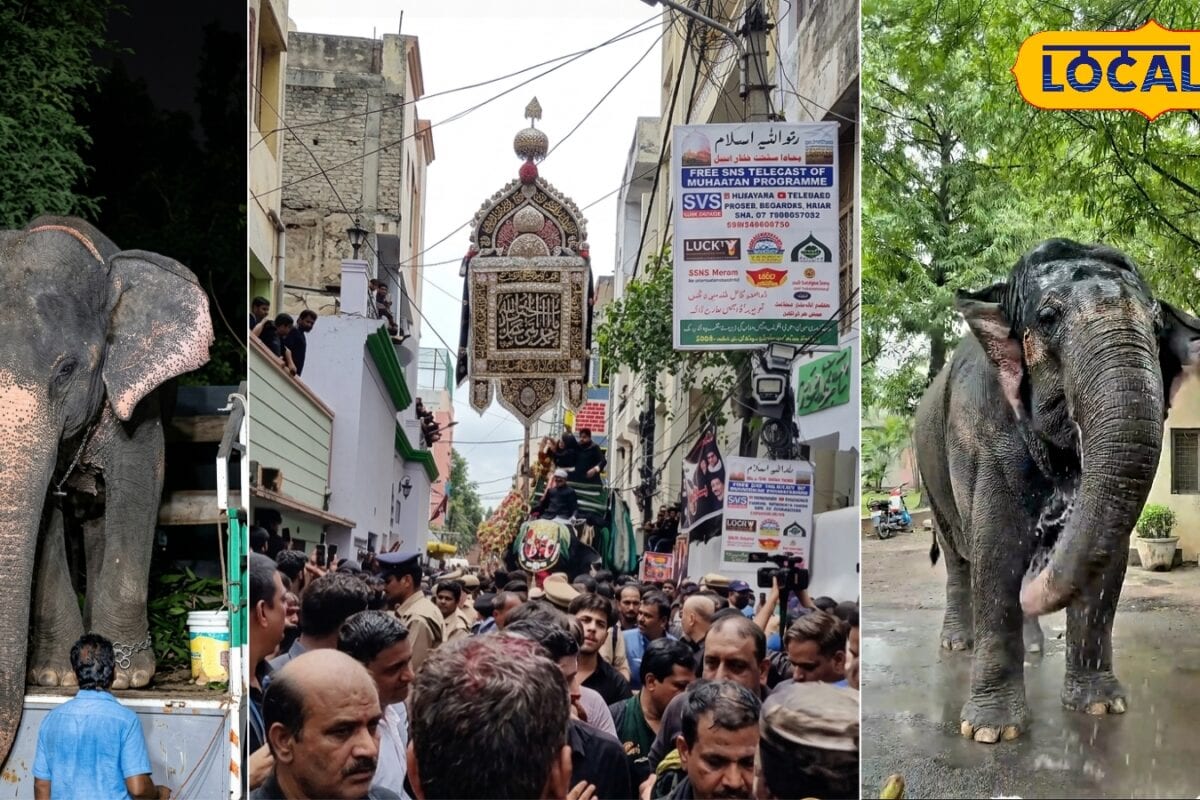 400 साल पुरानी परंपरा! जानिए मोहर्रम में हाथी पर क्यों निकाला जाता है बीबी का अलम