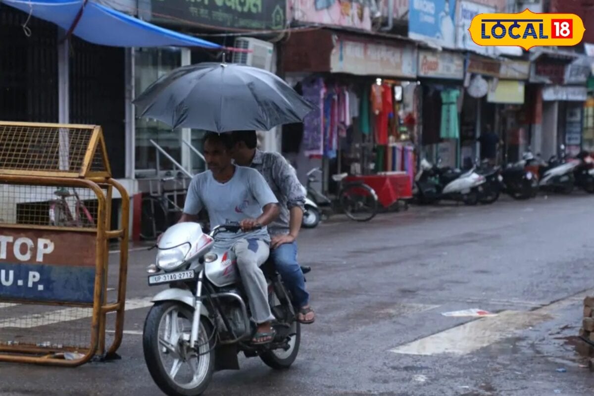 मेंढक की टर्र-टर्र से जुगनुओं की चमक तक...इन 5 संकेतों से जानिए मानसून अभी कितना दूर?