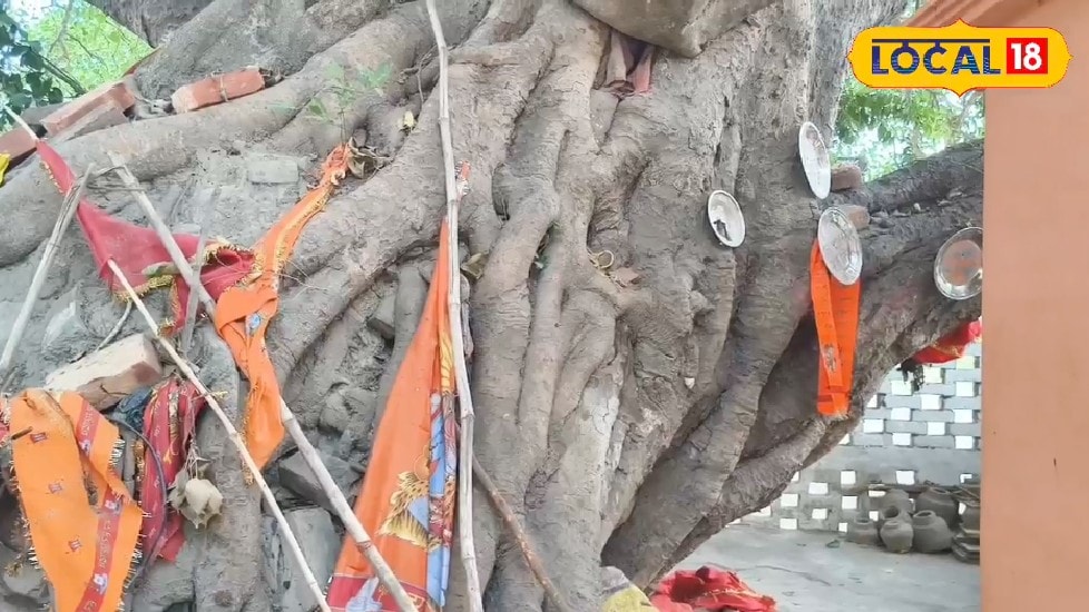 400 साल पुराना सिद्ध बाबा केलादा धाम जहां ईंट रखकर मांगी जाती है मनोकामना! नाग-नागिन करते हैं इच्छा पूरी