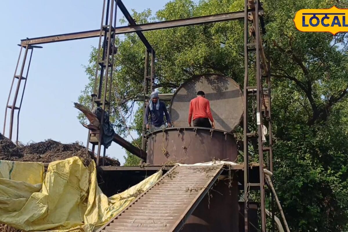रामपुर में मेंथा किसान रघुवीर ने लगाया मेंथा ऑयल डिस्टिलेशन प्लांट बना कमाई का जरिया साथ में जैविक खेती बढ़ी
