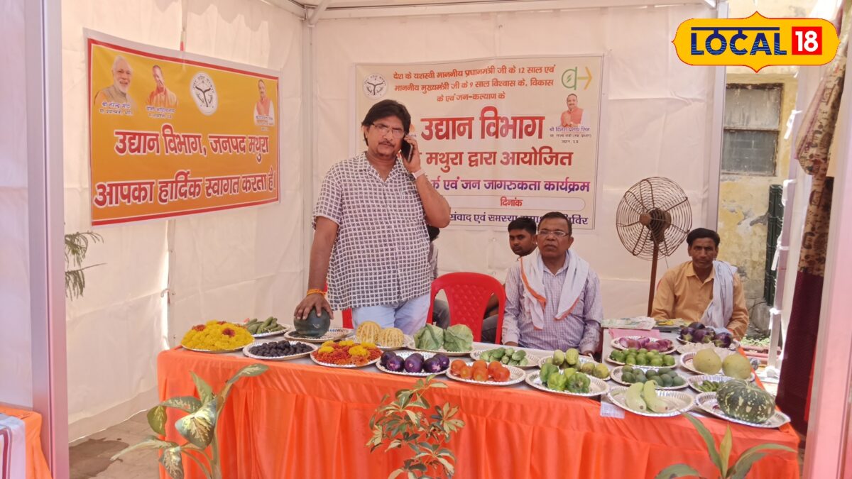 मथुरा उद्यान विभाग की हाईटेक नर्सरी में हाइब्रिड पौधों पर प्रशिक्षण, किसान 45 दिन में फसल बेचकर आय करेंगे दोगुनी मथुरा उद्यान विभाग की हाईटेक नर्सरी में हाइब्रिड पौधों पर प्रशिक्षण, किसान 45 दिन में फसल बेचकर आय करेंगे दोगुनी