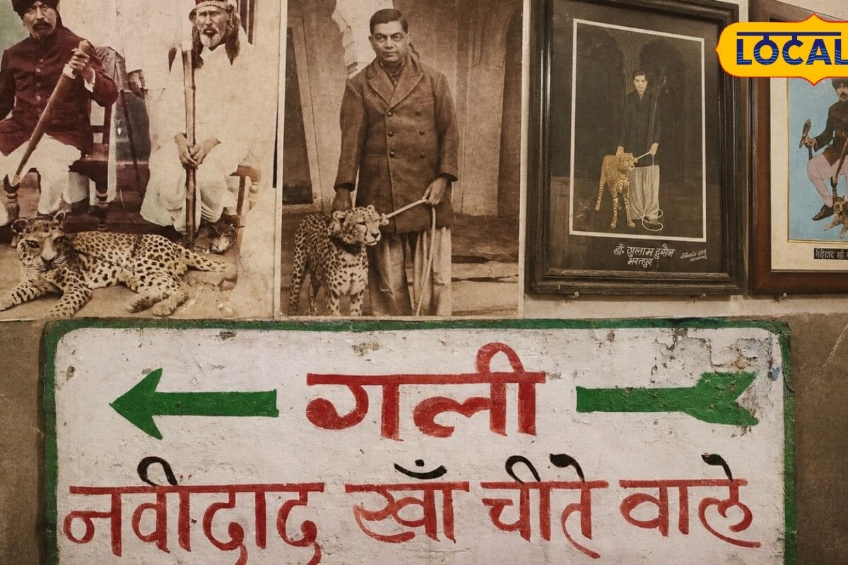 Ajab Gajab: भरतपुर की चीतेवाली गली का अनोखा इतिहास यहां कभी गूंजती थी शाही चीतों की दहाड़