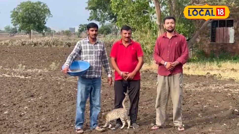 कम लागत बंपर मुनाफा! चिया सीड ने उज्जैन के किसान को बनाया मालामाल एक बीघा जमीन लाख रुपये तक की आमदनी