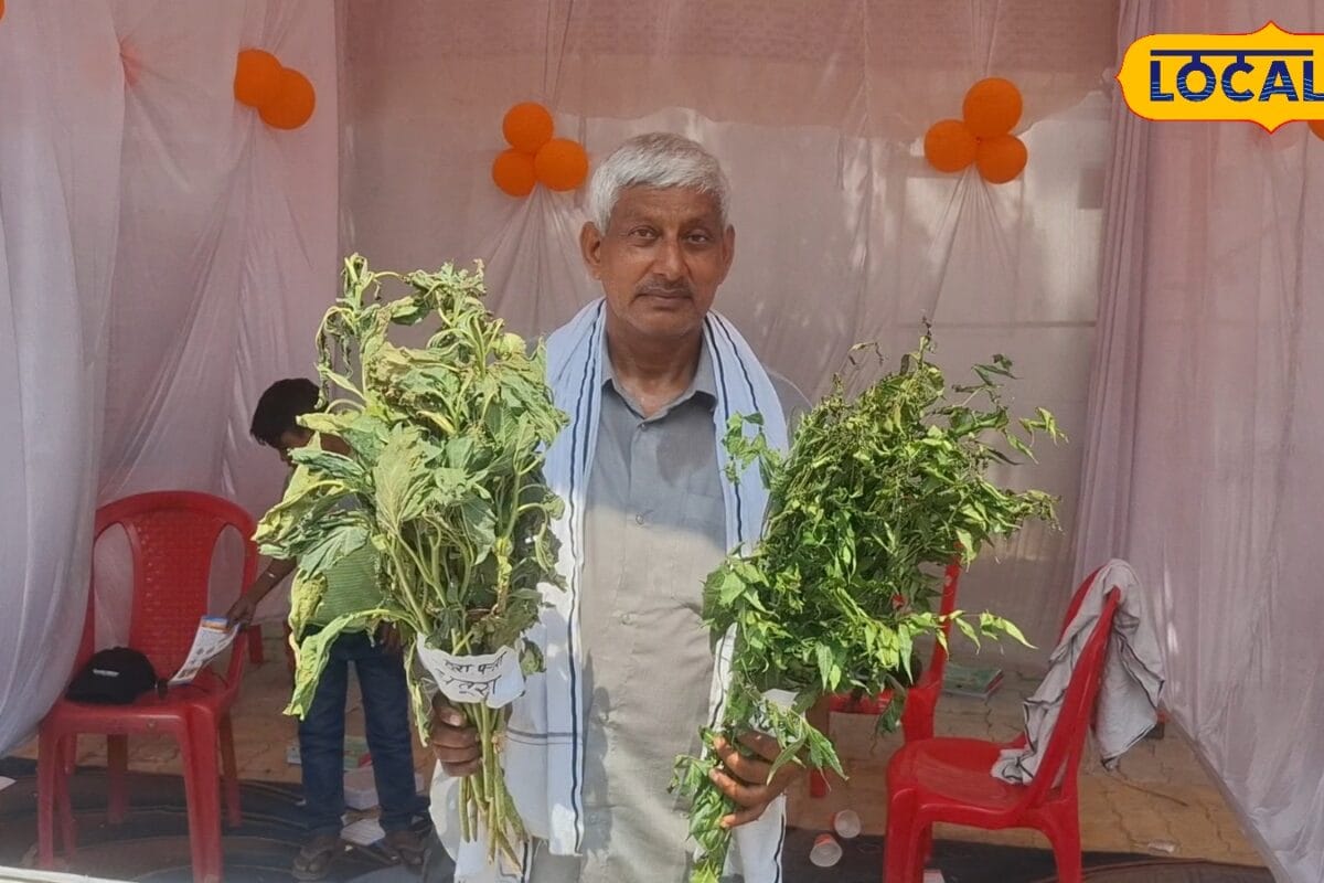 रसायन से नहीं अब जैविक तरीके से करें फसलों से कीट की छुट्टी बस बना कर डालना होगा यह जैविक ब्रह्मास्त्र