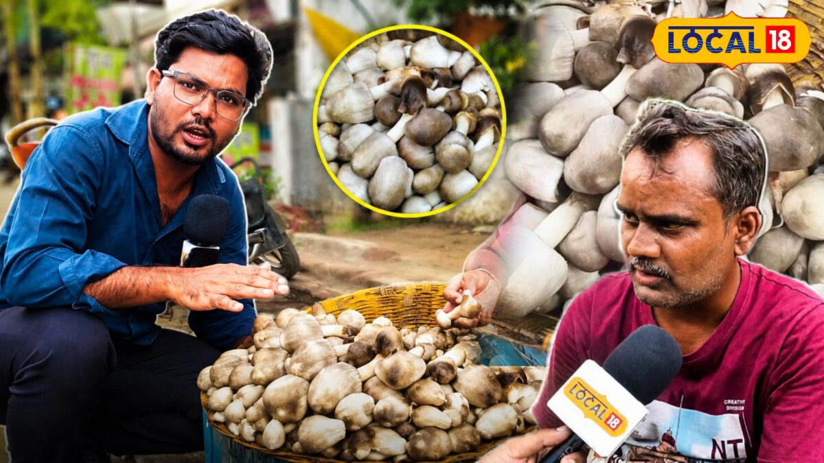 बारिश की पहली फुहार के साथ बाजार में उतरा ‘गांवों का सोना’, 400 रुपए कीमत