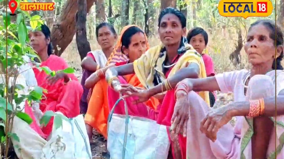 35 साल बाद बदली तस्वीर! जिस मुद्दे पर नक्सली भड़काते थे अब उसी जंगल से आदिवासी करेंगे तगड़ी कमाई