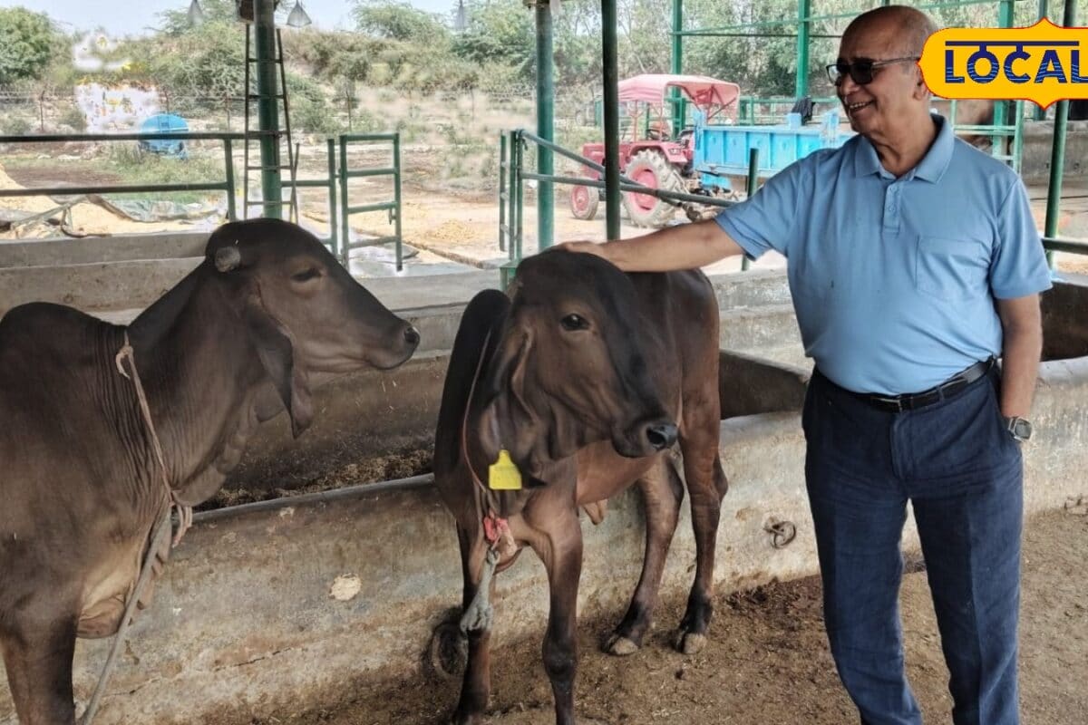 तेज धूप हो या मूसलाधार बारिश इन उपायों से पशु रहेंगे पूरी तरह स्वस्थ