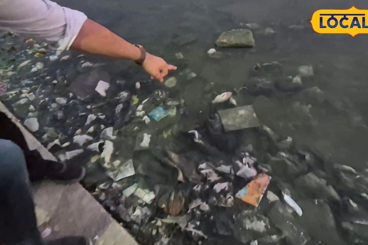 स्वच्छ भारत अभियान सिर्फ फोटो तक सीमित मानसरोवर तालाब की बदहाली पर लोगों का फूटा गुस्सा