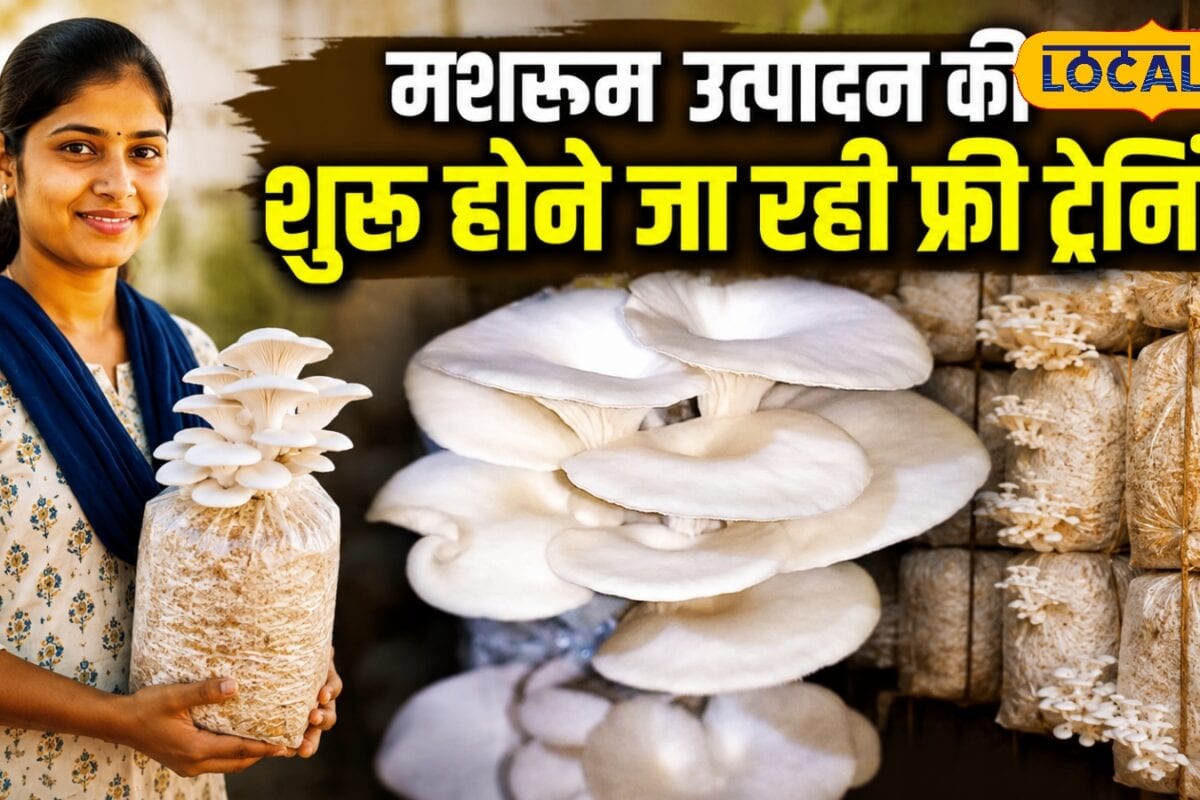 सहारनपुर में 10 जुलाई से 10 दिवसीय निशुल्क मशरूम उत्पादन और प्रोडक्ट मार्केटिंग प्रशिक्षण लोन की भी सुविधा करें आवेदन