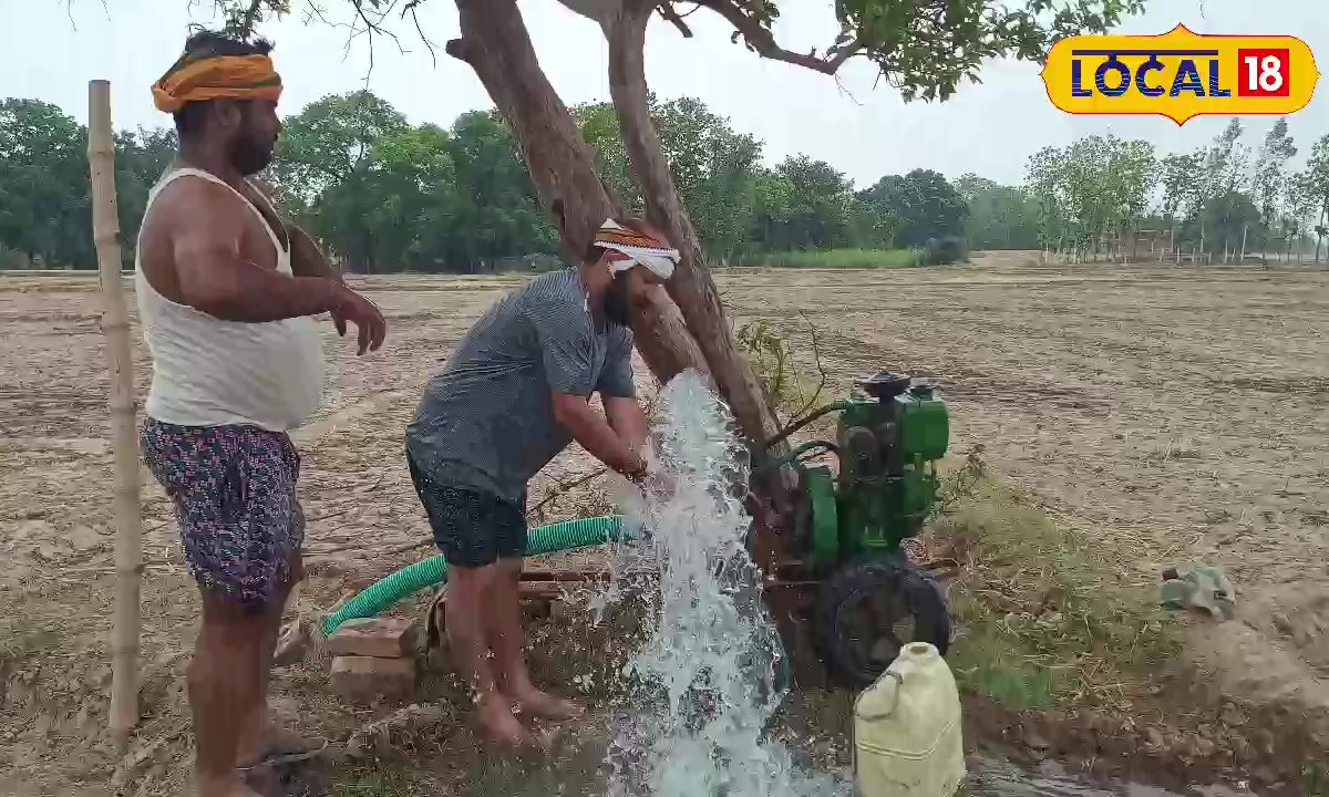 'यह प्रयोग भी सफल नहीं', कम पानी की खपत वाली किस्म भी दे रही धोखा, धान किसानों के सामने ये कैसा संकट?