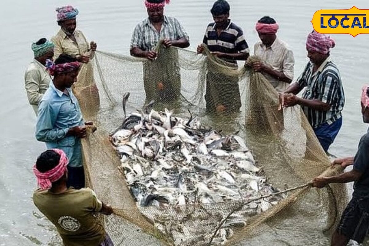 मछुआरों के लिए चिकित्सा वैवाहिक शिक्षा एवं आवास के लिए चल रहीं कल्याणकारी योजनाएं लाभ के लिए करें आवेदन