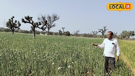30,000 किसानों ने भरा फॉर्म, फिर भी केवल 600 को मिलेगा अनुदान! नौकरी की टेंशन खत्म! 10x10 के कमरे से शुरू करें ये धांसू बिजनेस, हर महीने होगी बंधी-बंधाई कमाई