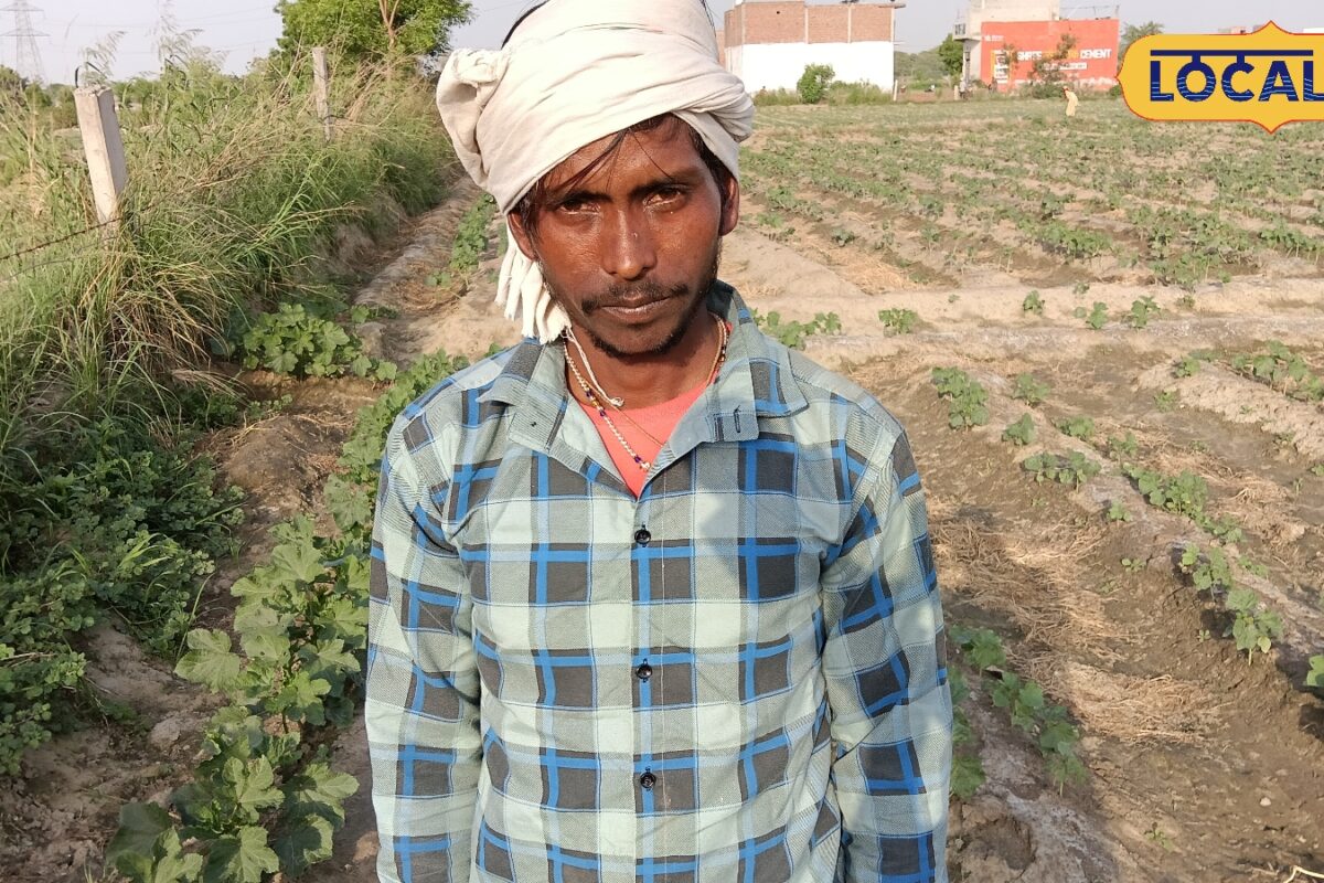 अजीब तरह के कीड़े लग रहे', कैसे भिंडी की खेती बनी जी का जंजाल? रो पड़ा फरीदाबाद का ये किसान