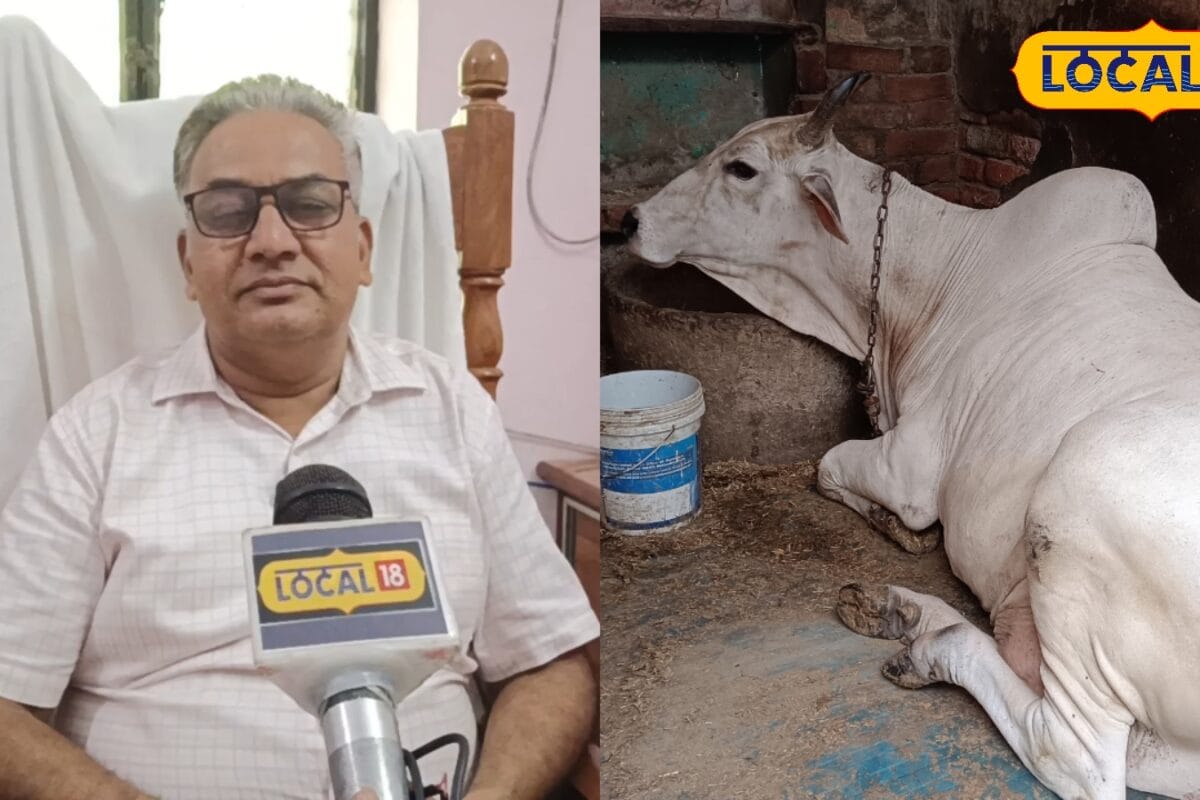 बस पूरी कर लें ये शर्तें फिर हर महीने 6000 रुपए सीधे खाते में भेजेगी यूपी सरकार जानिए पूरी स्कीम