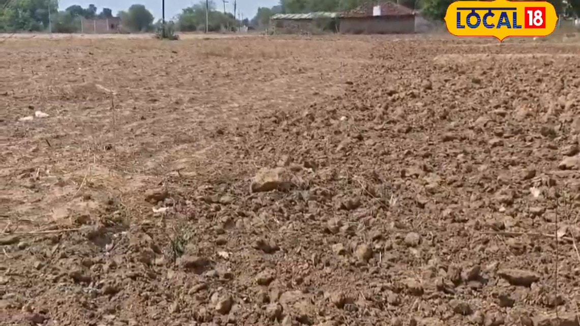 चित्रकूट में कम बारिश से खरीफ फसल संकट में श्रीअन्न और दलहन की करें बुवाई जिलाधिकारी ने किसानों को दी सलाह