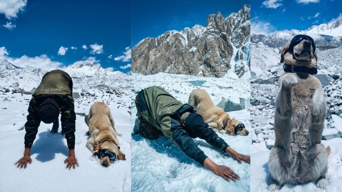 International Yoga Day | Siachen Sniffers Yoga | सियाचिन की बर्फीली ऊंचाइयों पर देख लें भारतीय सेना का शौर्य, इन जांबाजों ने भी किया योग International Yoga Day | Siachen Sniffers Yoga | सियाचिन की बर्फीली ऊंचाइयों पर देख लें भारतीय सेना का शौर्य, इन जांबाजों ने भी किया योग
