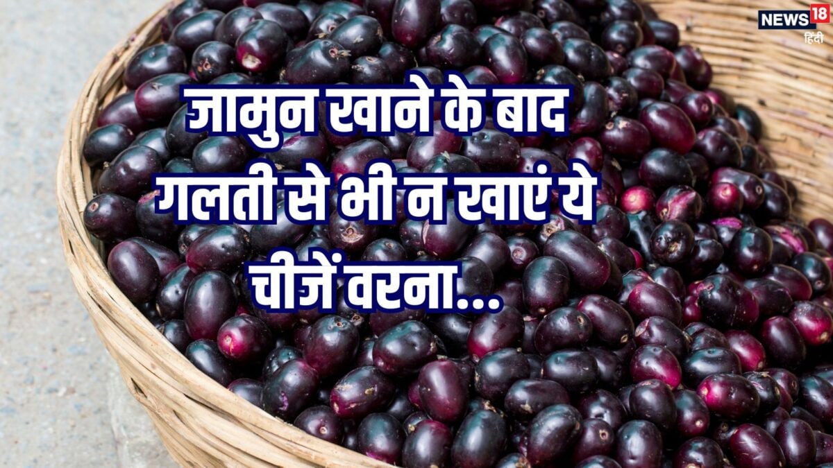 जामुन खाने के तुरंत बाद खा लेते हैं ये फूड्स, जान लें बड़े नुकसान, किन चीजों से करें परहेज