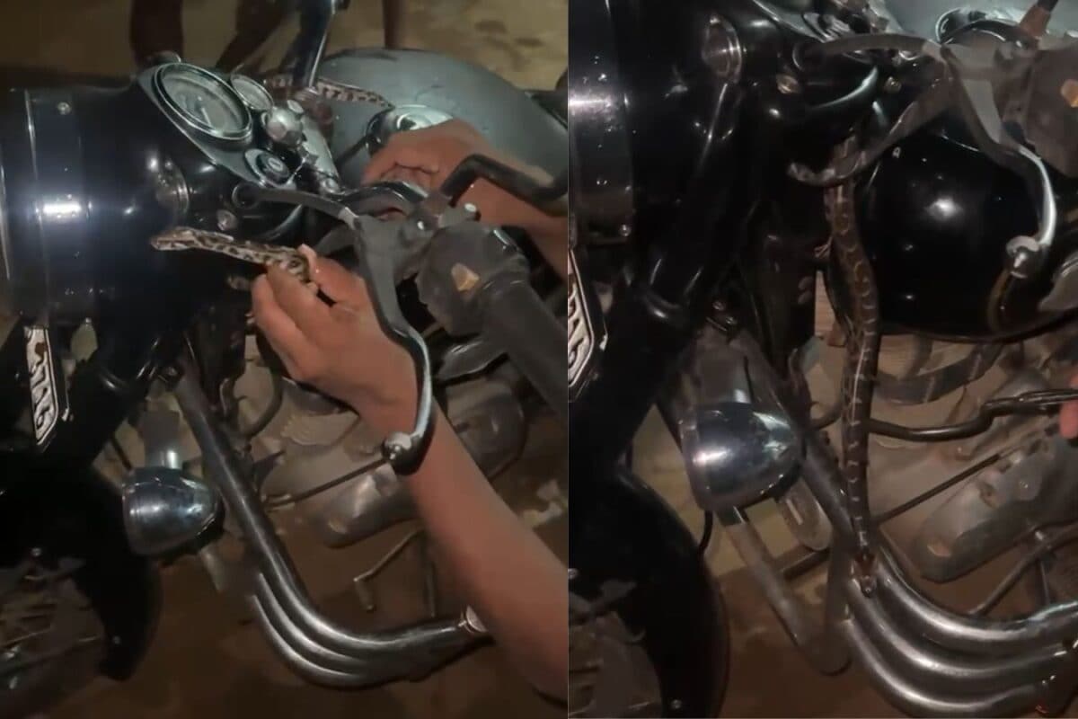 Video: किक मारते ही हेडलाइट से बाहर निकला साक्षात 'काल', पुलिसवाले को भागना पड़ा