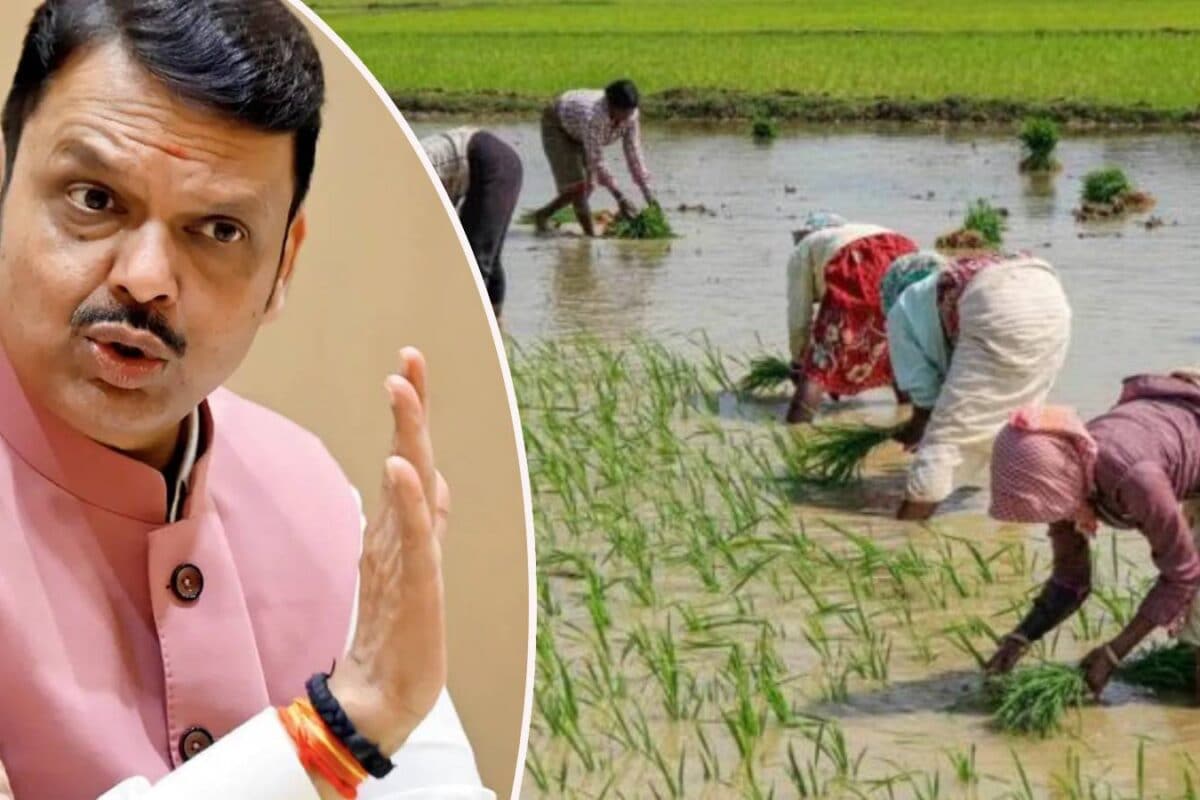Shetkari Karjmafi: किन किसानों को कतई नहीं मिलेगा कर्जमाफी योजना का फायदा? फडणवीस सरकार ने जारी की लिस्‍ट