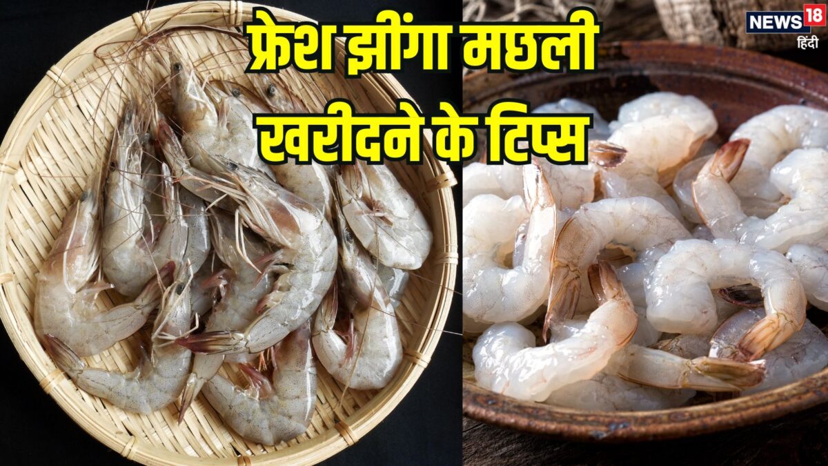 झींगा मछली ताजी है या बासी? खरीदते समय इन 7 आसान तरीकों से करें फ्रेश श्रिम्प की पहचान