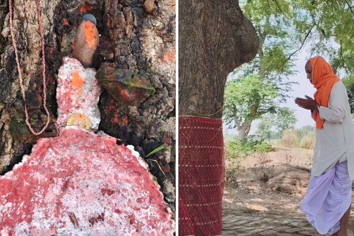 रहस्यमयी डीह माता: सुल्तानपुर का वो अनोखा वृक्ष, जहां बिना माथा टेके विदा नहीं होती दूल्हे की बारात!