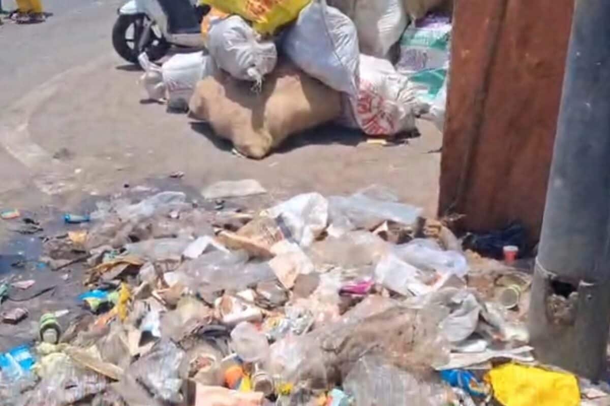 Jaipur News: कचरे में डूबा जयपुर! सफाई कर्मचारियों की 'झाड़ू डाउन' हड़ताल, नगर निगम की बढ़ी मुश्किलें