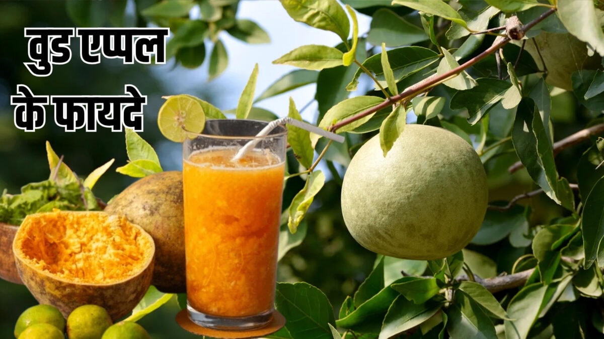 भगवान शिव को पसंद इस पेड़ की पत्तियां, फल बॉडी कूलर, जानें सेवन का तरीका