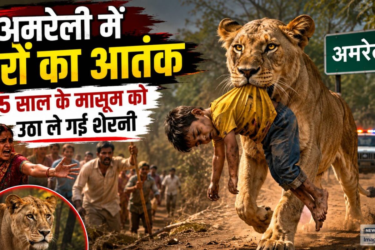 गुजरात के अमरेली में शेरों का आतंक दादा के सामने 5 साल के मासूम को उठा ले गई शेरनी एक महीने में तीसरी मौत
