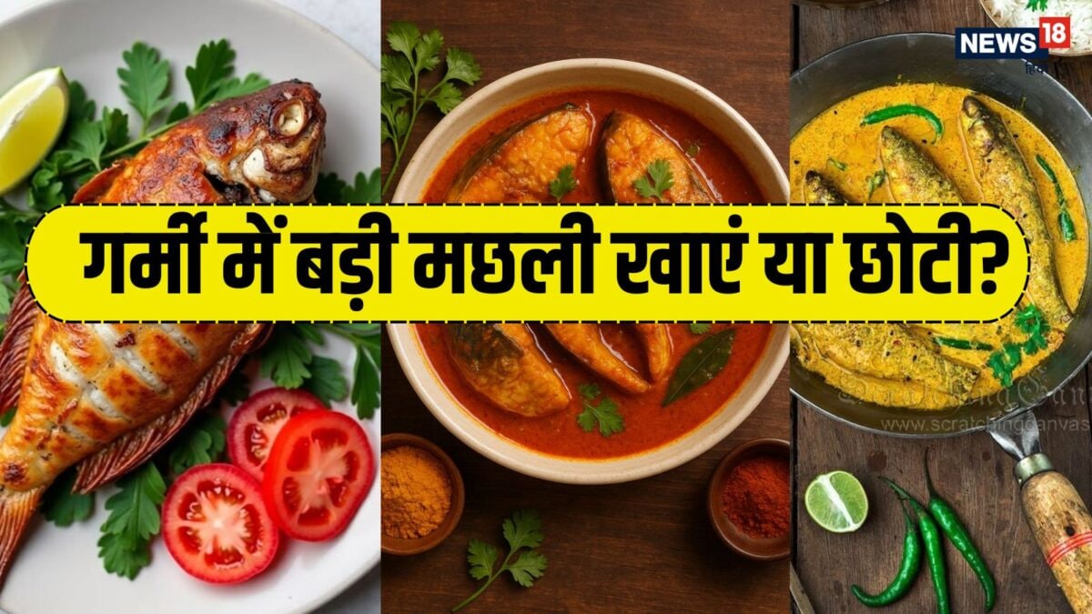 गर्मी में बड़ी मछली खाएं या छोटी? कौन सी फिश पेट को रखेगी एकदम कूल, जानें बनाने का तरीका