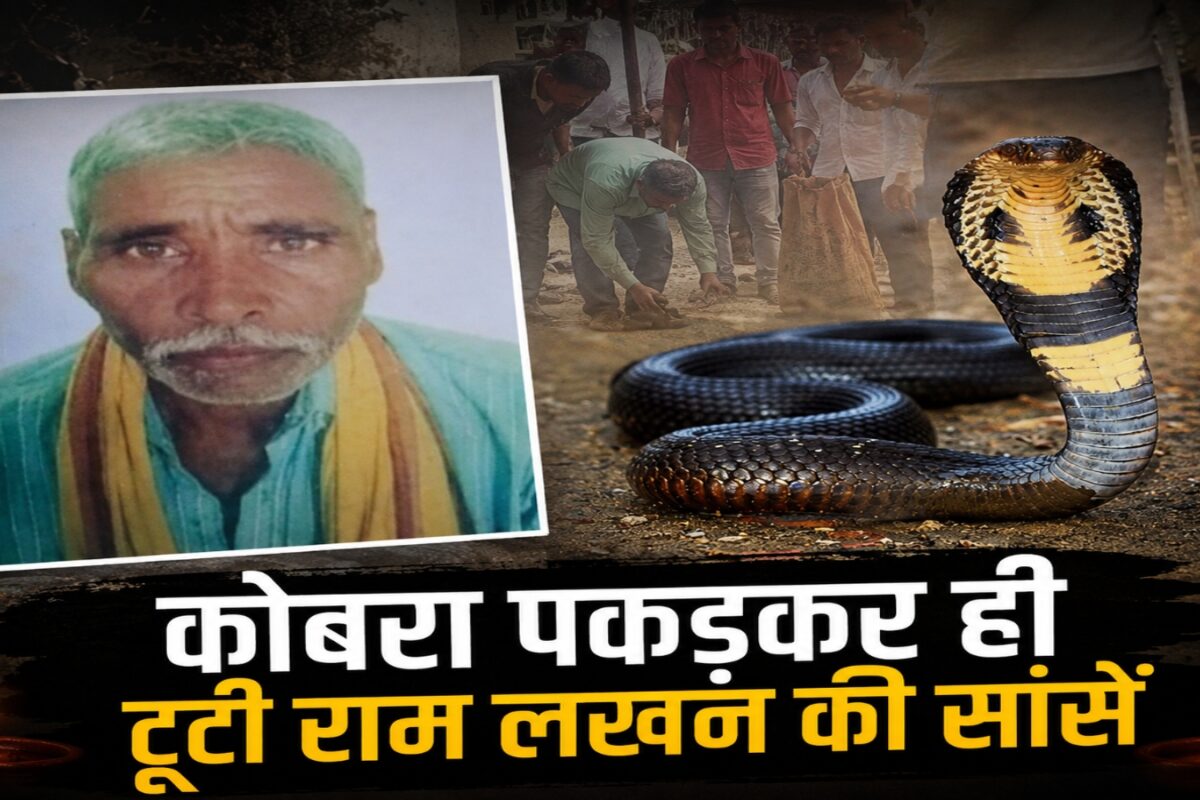 जिस कला में था माहिर, उसी में खा गया मात! कोबरा सांप ने डसा, फिर भी आखिरी सांस तक सपेरे ने बचाई लोगों की जिंदगी
