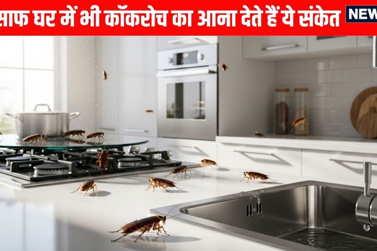 घर में साफ-सफाई के बाद भी बार-बार दिख रहे हैं कॉकरोच जानें वास्तु और ज्योतिष में छिपा इसका डरावना संकेत!