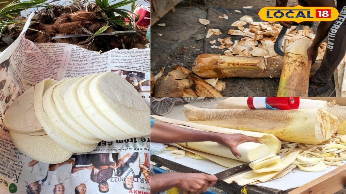 फल-पानी तो बहुत खा लिया, लेकिन क्या कभी चखा है नारियल के पेड़ का दिल?