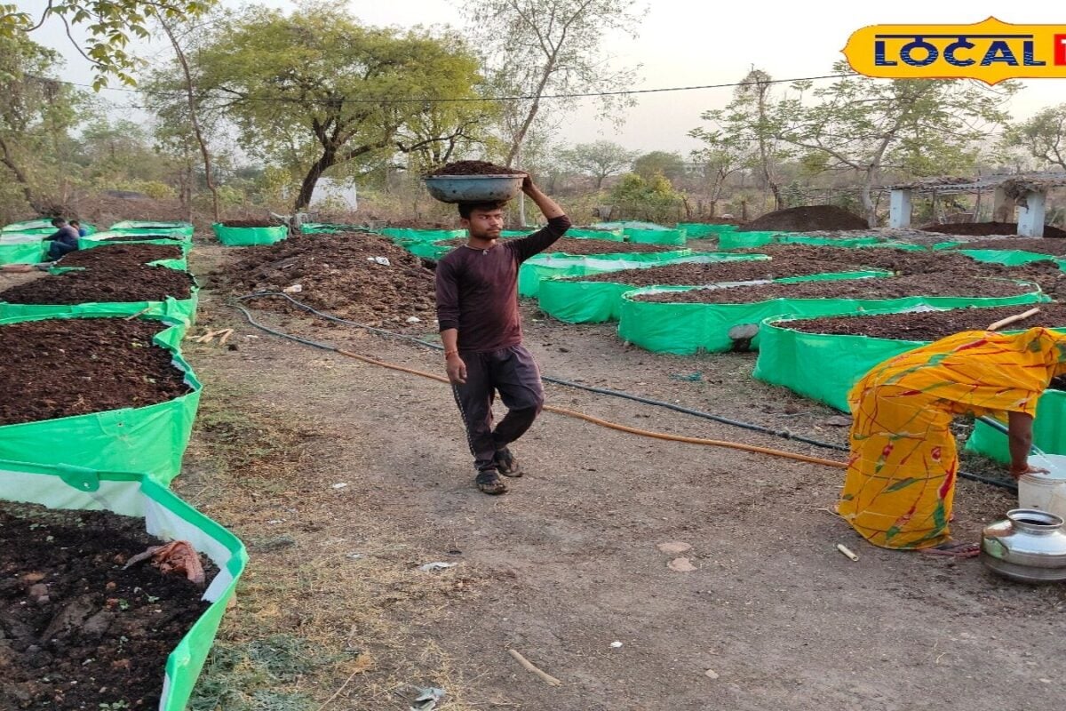 बारिश मौसम में तैयार करें ये खास खाद, खर्च कम.. बनाना भी बिल्कुल आसान, फसल कर देगी मालामाल