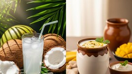 लस्सी या नारियल पानी? शरीर को ठंडक से पेट की सेहत तक जानें किसका पलड़ा भारी है Bokaro Rojgar Mela: झारखंड में यहां लगेगा बंपर रोजागर मेला, 1000 युवाओं को मिलेगी शानदार नौकरी, फटाफट करें आवेदन