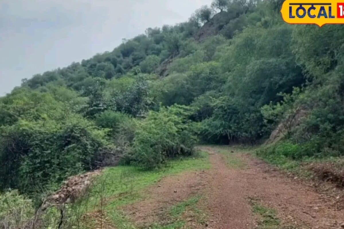 माउंट आबू घूमने का प्लान है जानें कैसे नया रोड प्रोजेक्ट बचाएगा समय कम होगी दूरी और बढ़ेगा पर्यटन