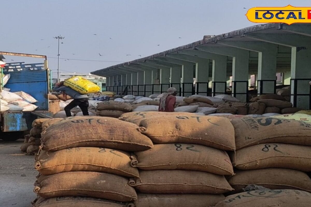 MSP पर गेहूं बेचने का सुनहरा मौका अभी बाकी! खरीद अवधि बढ़ने से किसानों की बढ़ेगी आय, जानिए नया शेड्यूल