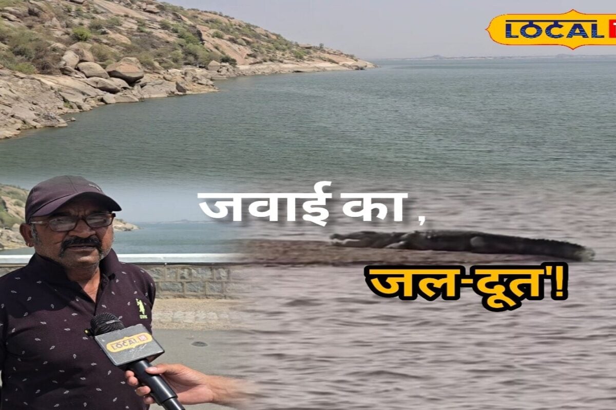 मगरमच्छों से भरे पानी में रोज उतरते हैं हरि भाई! जवाई के इस ‘जल-दूत’ ने जान जोखिम में डालकर बचाई कई जिंदगियां
