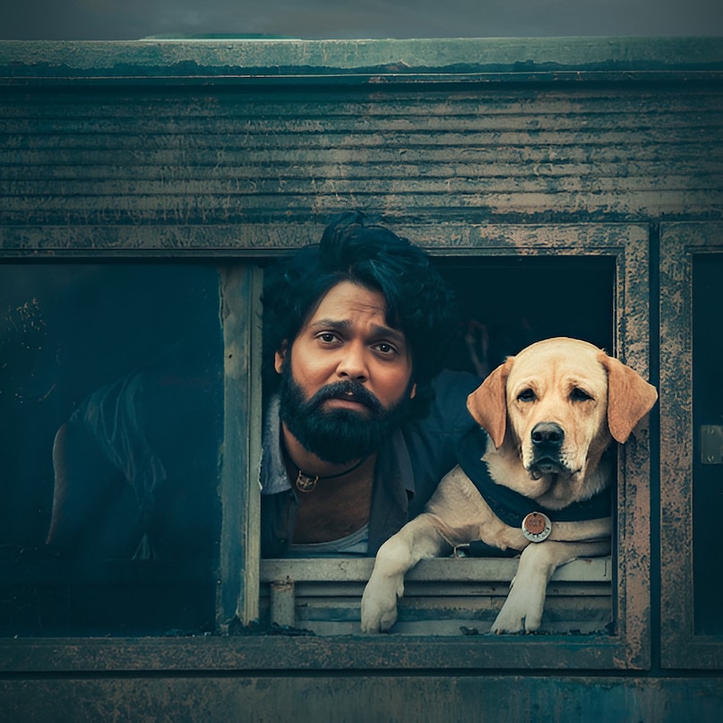 June 9 Bollywood Releases , 777 Charlie Box Office , 777 Charlie Movie blockbuster, Parineeta Movie Superhit, Shaitan Flop , Do Lafzon Ki Kahani Movie Disaster , Bollywood Box Office Report Card, बॉक्स ऑफिस रिपोर्ट कार्ड , 10 जून को रिलीज हुई फिल्में, 777 चार्ली मूवी ब्लॉकबस्टर, परिणीता मूवी सुपरहिट, शैतान फ्लॉप, दो लफ्जों की कहानी मूवी डिजास्टर