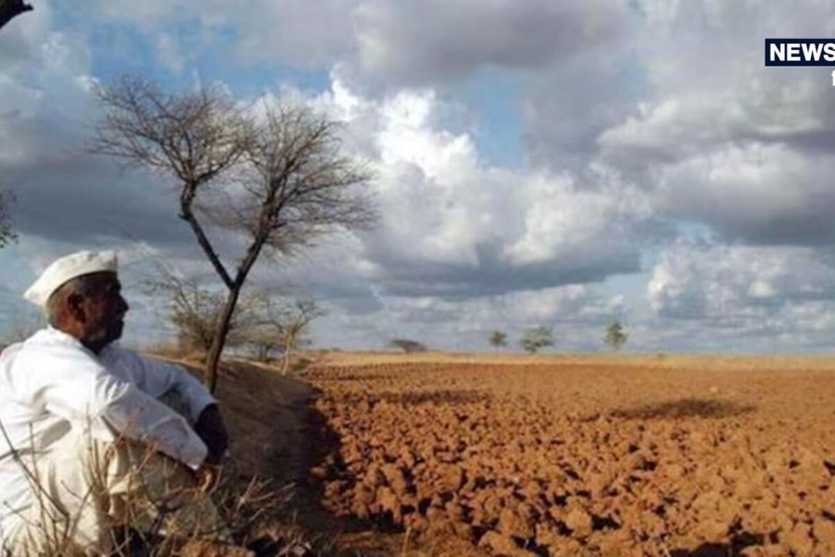 मानसून कमजोर! देश में 43% कम बारिश मौसम वैज्ञानिकों ने बढ़ाई टेंशन क्या सूखे की आहट
