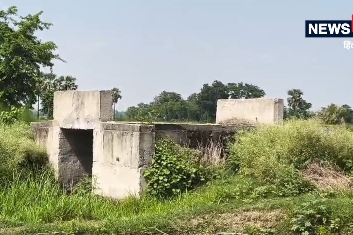 न सड़क, न नदी... खेतों में बना दी 8 पुलिया, मोतिहारी से सामने आया अनोखा मामला, लोग बोले- इसका क्या करेंगे?