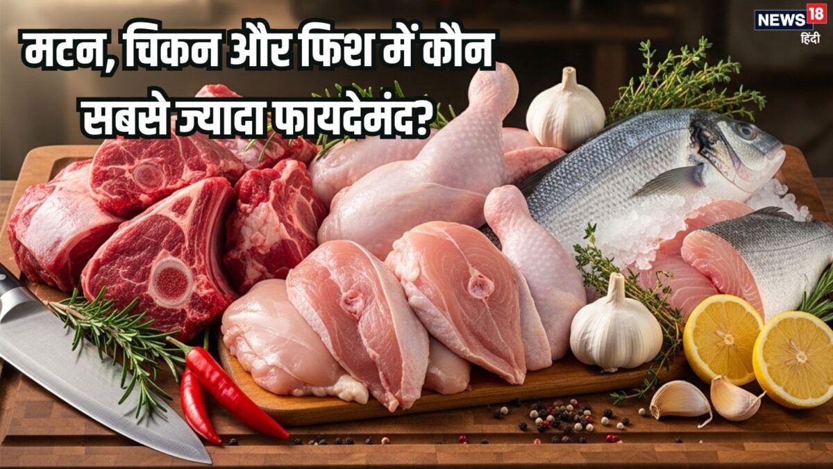 मुर्गा, मछली, मटन में कौन सबसे ज्यादा फायदेमंद? जान लें किसमें होता है अधिक प्रोटीन