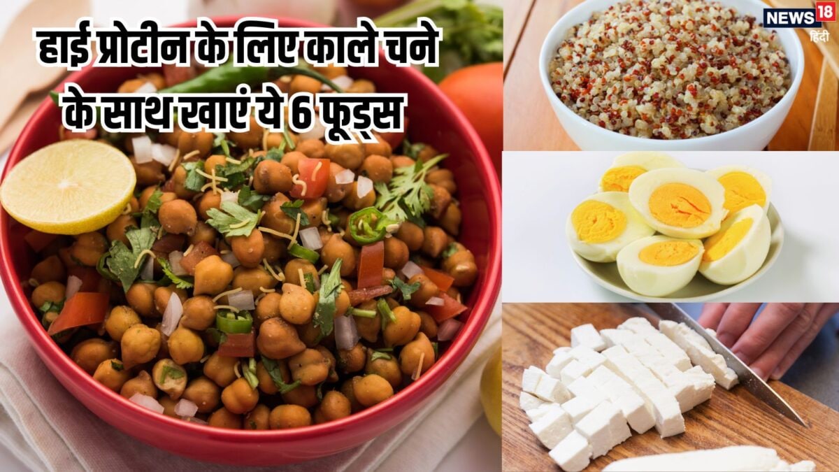 प्रोटीन की हो गई है कमी, हाई प्रोटीन के लिए काले चने के साथ खाएं ये 6 फूड, पाएं एनर्जी